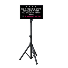 19'' LED MONITOR WITH STAND