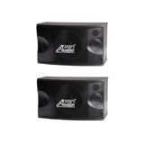 ASP5210 - 300W Full Range 10" 2-Way Loudspeaker (Sold as a pair)