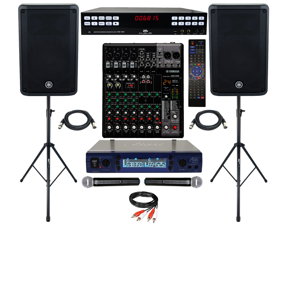 JBL Professional Karaoke System, Bluetooth, Mixer, Wireless Mics, Moni
